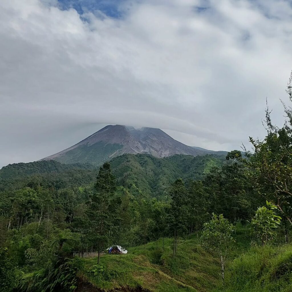 whatsapp image 2026 02 22 at 14.41.07