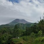 whatsapp image 2026 02 22 at 14.41.07